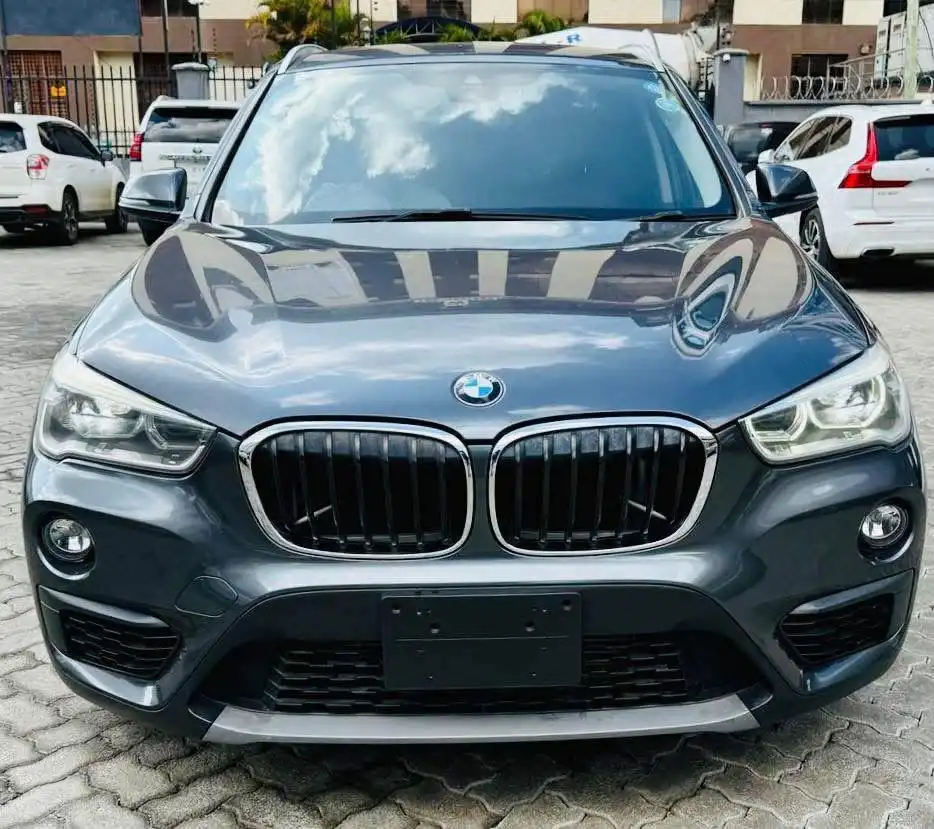 BMW-X1-