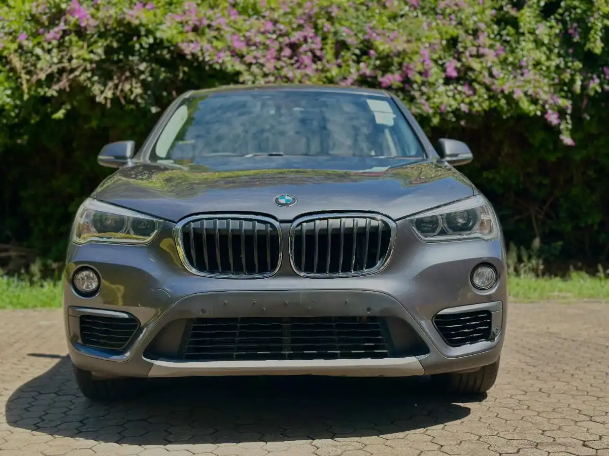 BMW-X1-