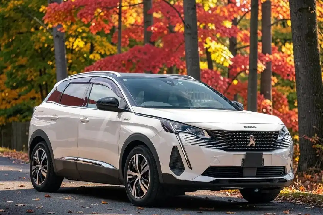 PEUGEOT-3008-