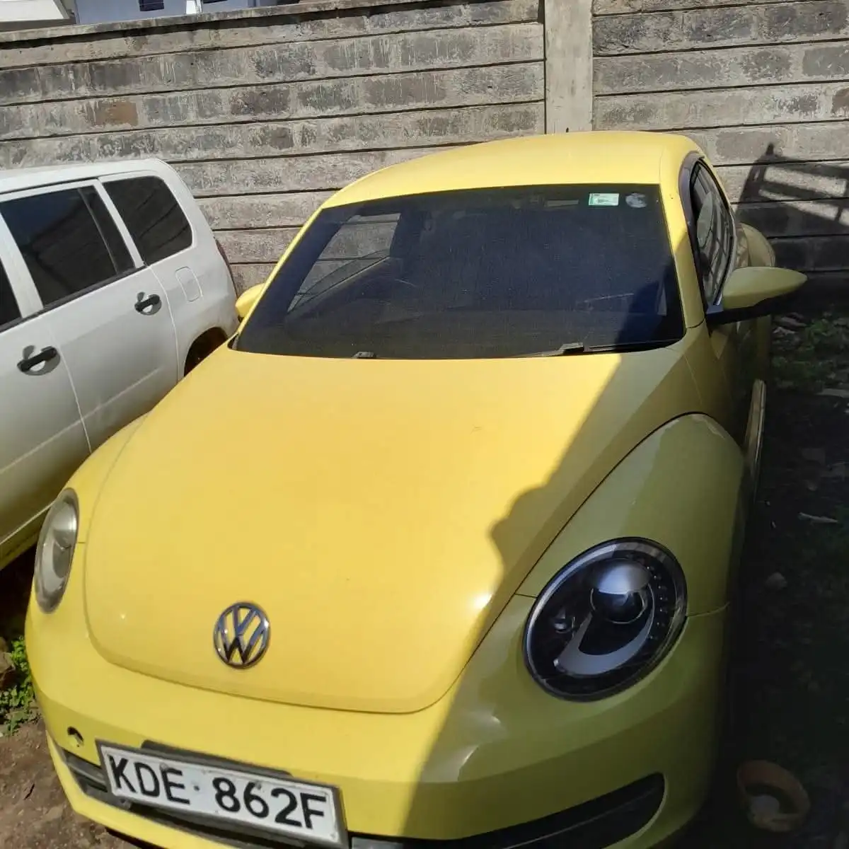 VOLKSWAGEN-Beetle-